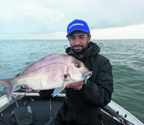 Snapper like this 50cm model have been a common catch in the shallows.