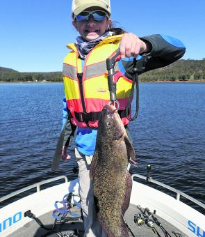 Brendan Deurloo took the kids out to Cressbrook Dam to hook into the bass. Some big catfish got into the action as well.