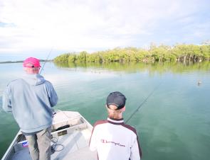 Luring at high tide around the oyster racks in the creeks should produce bream, flathead and whiting with the occasional luderick as by-catch.