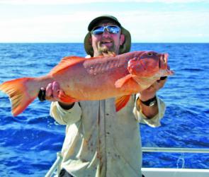 The inshore reefs are producing plenty of coral trout on live and dead baits, but the plastics are pulling in the better quality fish.