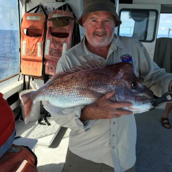 Amazingly, our snapper season is still going strong!