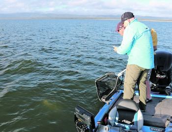 The first sign of colour as a metre plus barra emerges from the depths of Peter Faust (Proserpine). This is the kind of encounter you can expect when fishing the deeper water of the main basin outside the tree line. 