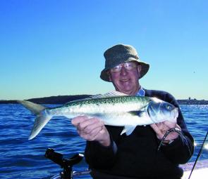 Salmon are now in abundance since the easing of commercial netting.