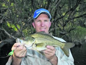 The author with a tidy Macleay River bass. This one took a Taylor Made Fat Banger, a terrific topwater lure. If you want a few bass, head way up-river to avoid the brown water.