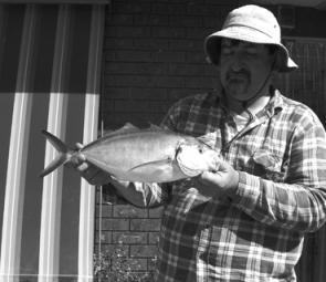 Graham Gray’s 40cm trevally – a good fish for these parts and tremendous sport on light tackle.