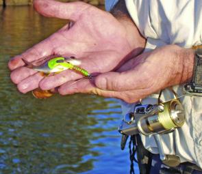 Not all the bream are big in the winter. That’s a 2” grub lure!