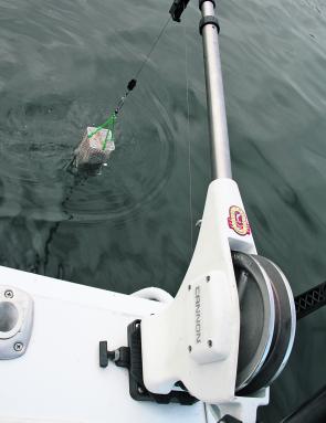 Downriggers are an essential tool for trolling and baitfishing. As well as their usual task of plunging trolled lures to depth they are great for helping to distribute berley at depth with the aid of a weighted cage.