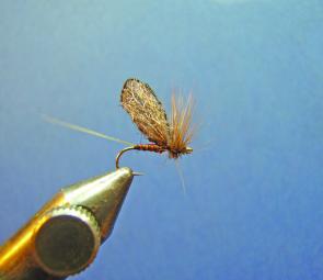 Now clip the hackle flat with the underside of the hook as shown, this makes the fly sit flat in the water’s surface. (Optional depending on personnel preference).