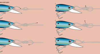Tie an overhand knot in the heavy leader and then pass the tag end through the eye of the hook, or through the towing point on your dead bait\swim bait.