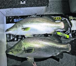 Peter Faust turned it on for anglers with big fish and lots of them hitting the brag mats.