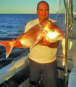 Big knobby snapper such as this golden specimen will be a feature of the fishing on offer this September.
