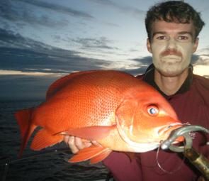 The Zman Jerkshadz strikes again! Nannygai often smash plastics, especially in the cold.