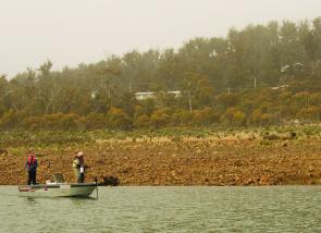 Swan Bay on Great Lake is the place to be in July. It is close to the road and the Great Lake Hotel for that warm lunch to keep you going all day.