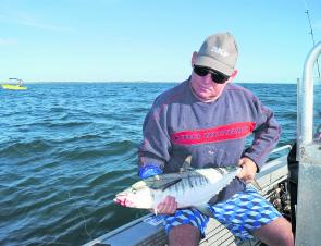 Now that the water is clearing, the pelagics have started to come back to Bundy.