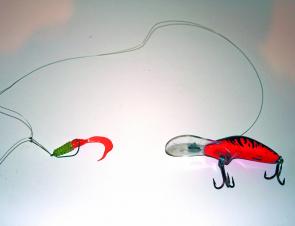 Those trolling for redfin will get far better results rigging a small soft plastic a metre or so in front of their chosen trolling lure. Rigging the plastic weedless like this ensures you catch more fish without the fear of extra snags.