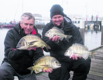 Team Pro-strikes Peter Stephens and Bradley Baade display some of the quality yellow fin bream they caught on day two to secure them the victory