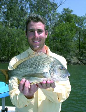 Dave Steirn took this quality kilo-plus bream from Wagonga Inlet on a surface lure.