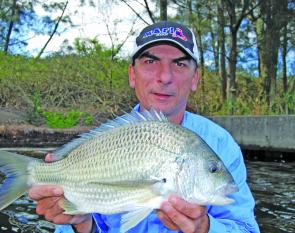 The author with a thumper bream. This month is normally one of the best for bream in local waters.