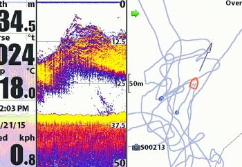 A massive school of kings can be seen on the sounder – it’s times like these that you should drop a jig.