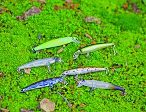 The author’s selection of Yo-Zuri Pins Minnows that have proved deadly on stream trout.