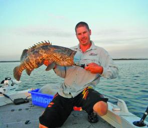 The author with a 20lb big breeding estuary cod, caught and released quickly and unharmed after this ripper photo.