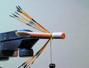 Take the pheasant tips and tie them in splayed out as shown.
