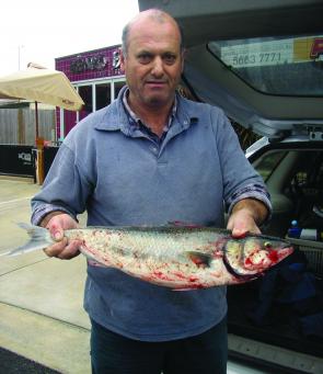 Arthur with a thumping 2.8kg (cleaned) black back salmon: the rewards of fishing after a big blow.