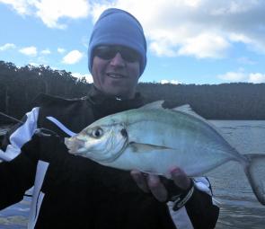 Silver trevally are in good numbers in all the local estuaries.