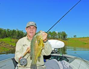 Something different; the author took this golden perch from Somerset Dam on the Rio Deep 7 line on a six weight rod. 