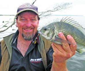 Another typical Gippsland Lakes bream on an Ecogear ZX blade. 