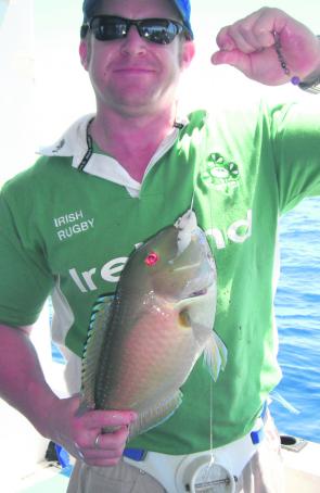 Tim with a beautifully coloured Venus tuskfish from Wide Caloundra.