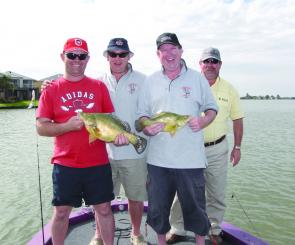 A group of very happy Canberra anglers with some prime Mulwala golden perch.