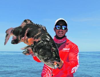 A coral trout caught by the author from the northern gutters, fooled by a well-presented soft plastic.