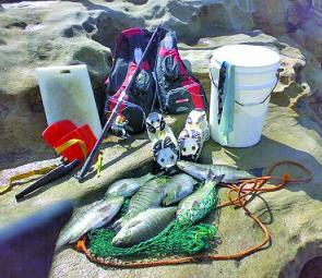John Poole laid out all the gear required to successfully target luderick off the rocks.