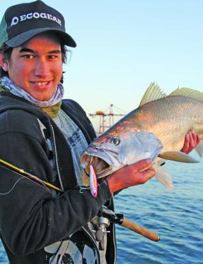 Along with the amazing threadfin salmon, the numbers of mulloway have seemed to explode and plenty of them are getting in on the lure act providing a great thrill for anglers.