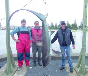 Julian Dickeson, Shane Cromie and Tim Clark with an 82kg thresher shark.