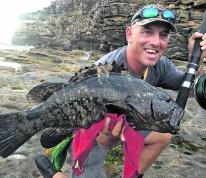 A black cod of about 6kg caught by myself on a day off, spinning the popular Hat area below the Quarantine wall at Manly. I received a message from a client who said the same cod was probably caught a couple of weeks earlier! It was released of course.