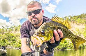 Tim Meehan used his kayak to access a secluded hole and found this solid Macleay bass.