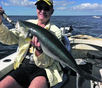 Graham Townsend from Wattle Grove caught this cracking 4kg salmon in Jervis Bay on a recent holiday to the Shoalhaven.