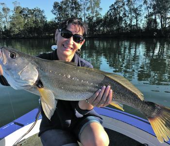 Tracey with a nice Hastings River mulloway.