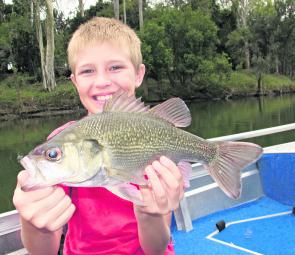 Bass in freshwater are easily caught trolling or bait fishing, great to get kids started.