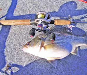 It’s hard to believe a bass could get rounder without bursting!