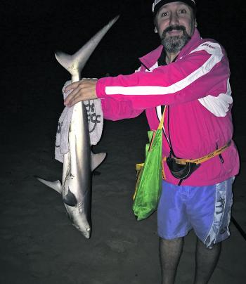 Billy Panagiotopoulos with his first whaler shark off the beach. Often caught as a mulloway bycatch, they are great sport and great on the plate as well. They’ll be available until about May. 