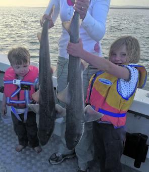 Little Maddy and Jack Hodson out-fished their old man out at Port Albert in the Snake Channel when the caught these two ripper gummy sharks, one of which weighed in at over 10kg. 