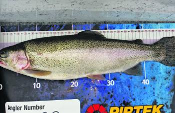 Zach’s trout was his personal best and measured in at an astonishing 51cm. 