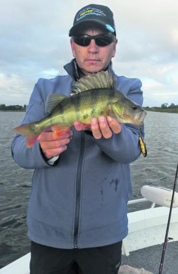 Shane Stevens’ Lake Wendouree redfin caught on the troll on a Gold Bullet Lure.