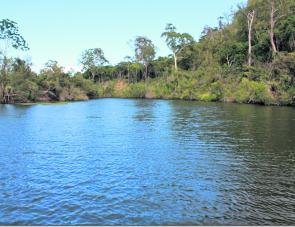 Upstream of Pikes Crossing has high banks and an abundance of vegetation that act as a great wind block.