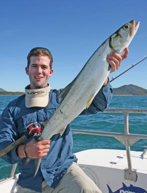 Will Lee with a giant herring taken on a Lucky Craft Bevy Shad 75.