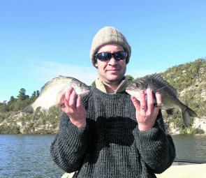 The bream at Nelson have been eagerly taking baits, lures and soft plastics.