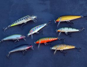 Rapala CD 5 and 7 minnows in a range of finishes. The two Xrap Count Downs on the bottom left have been particularly popular with the author’s local lake dwelling bass population.